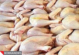 آمادگی تولید 80 میلیون قطعه جوجه برای تأمین مرغ شب عید