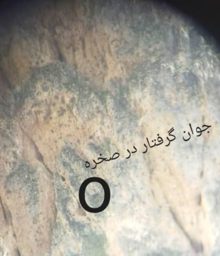 IMG-20230420-WA0010