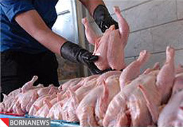 توزیع گوشت مرغ گرم با قیمت 2950 تومان