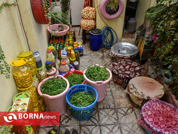 ماه منیر بانوی موفق کارآفرین