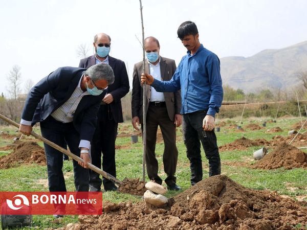 آیین گرامیداشت هفته درختکاری و کلنگ زنی باغ موزه هنر شیراز