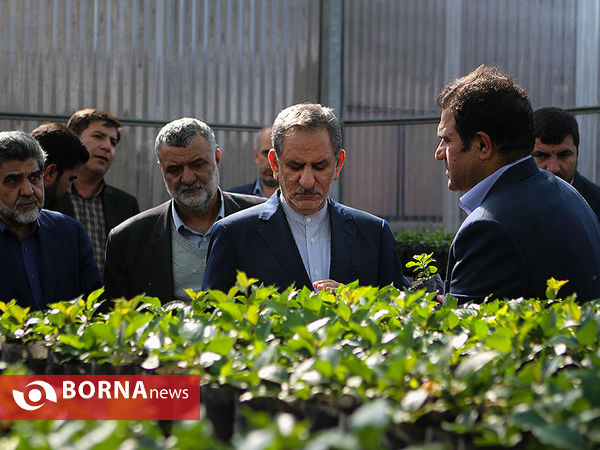 بازدید معاون اول رئیس جمهوری از چند پروژه کشاورزی و صنعتی در شهرستان رباط کریم