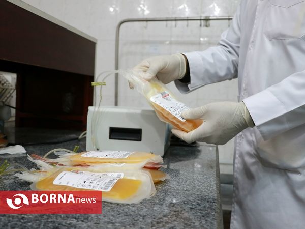 نذر خون شب دهم محرم