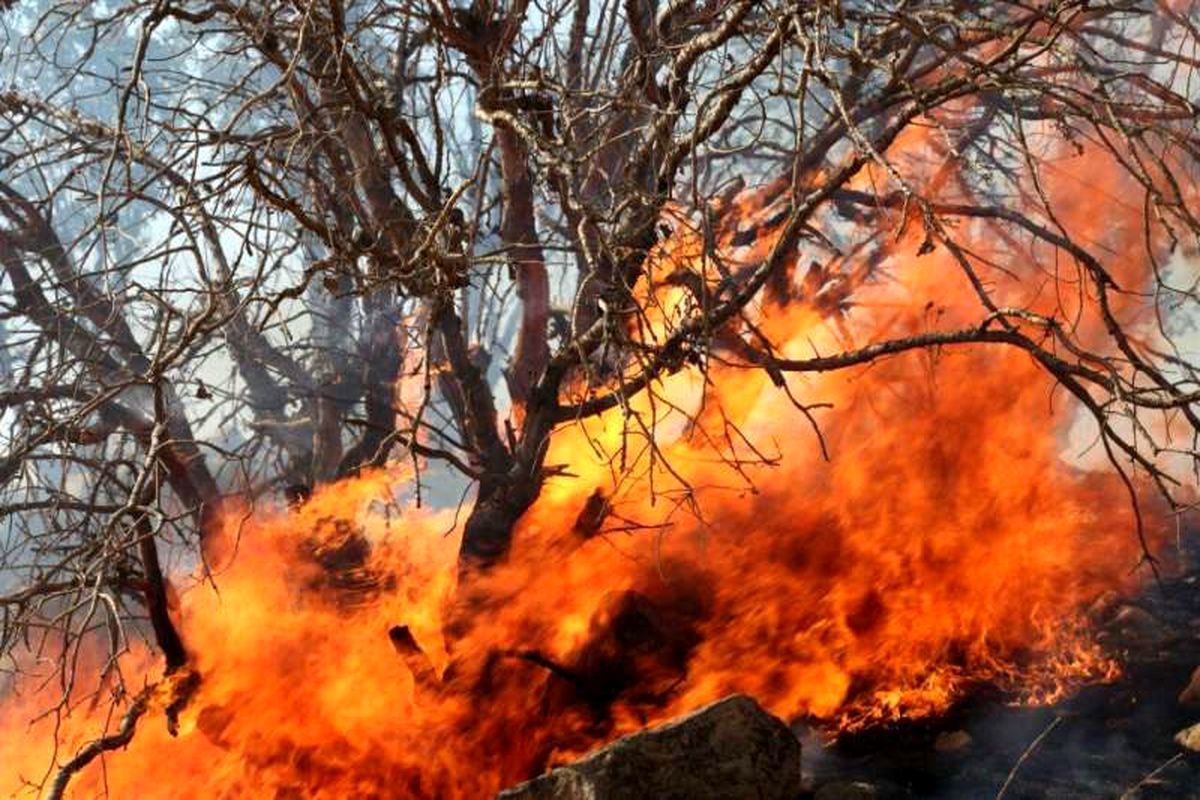 مهار آتش سوزی در جنگل‌های رودسر 