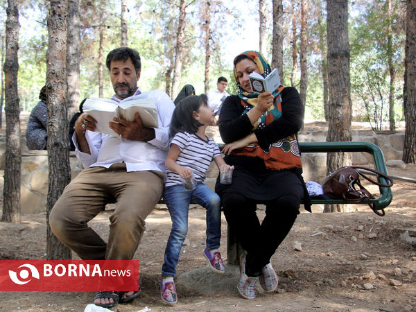 دعای عرفه در تپه الشهدای شیراز