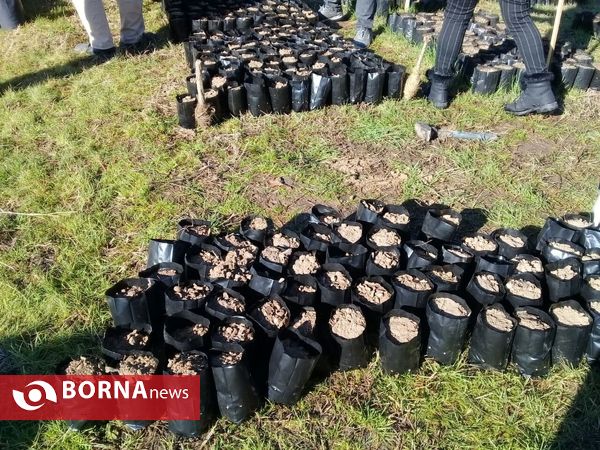 همایش مردمی جهت حفظ و صیانت از جنگل های سبز هیرکانی