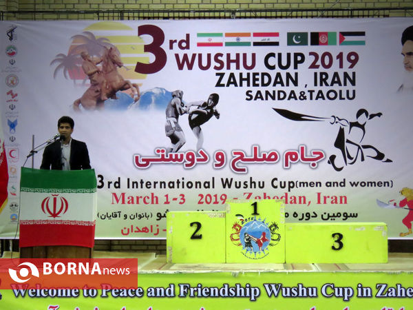 مسابقات بین المللی ووشو جام صلح و دوستی