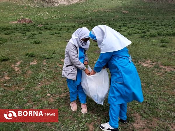 پاکسازی طبیعت رینه استان مازندران