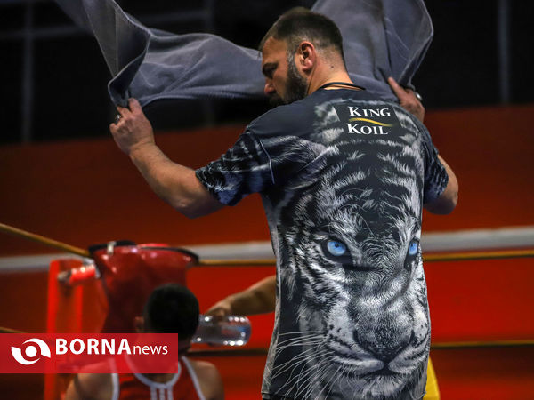 مسابقات بوکس قهرمانی بزرگسالان استان مرکزی