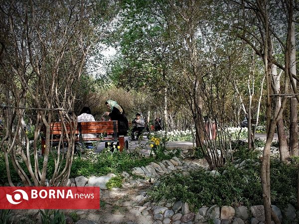 باغ ایرانی