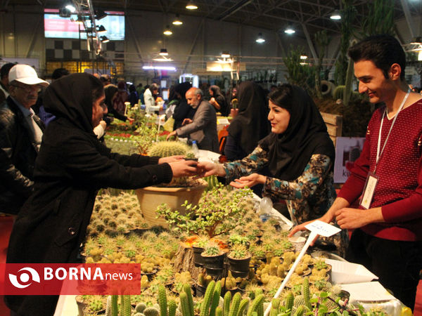 نمایشگاه گل و گیاه-شیراز