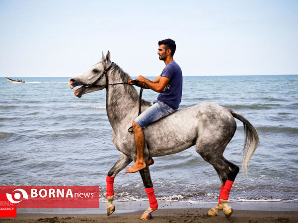 برگزیده گزارش های تصویری تیر ۱۳۹۴