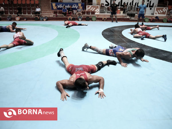 تمرین تیم ملی کشتی فرنگی
