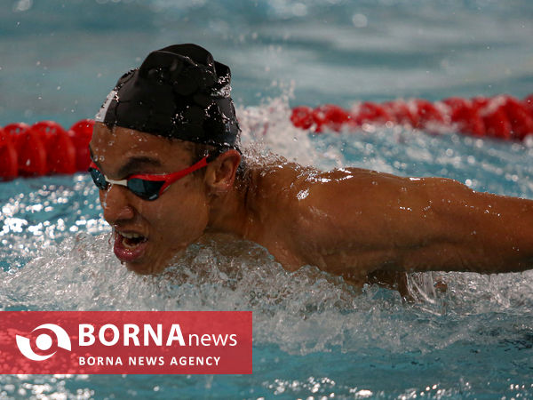 افتتاحیه مسابقات شنا مسافت کوتاه جام ولایت امام رضا(ع)