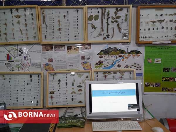 رونمایی از سامانه جامع مدیریت زمین با حضور معاون اول رئیس جمهوری