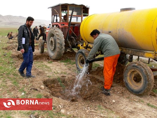 آغازفعالیتهای درختکاری در رومشکان درآستانه هفته منابع طبیعی