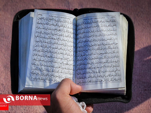 برگزیده گزارش های تصویری مهر ۱۳۹۴