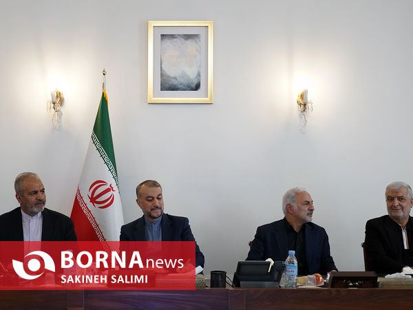 دیدار اعضای کمیسیون امنیت ملی با وزیر خارجه 