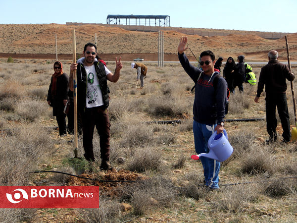 درختکاری مردم و سازمان های مردم نهاد -شیراز