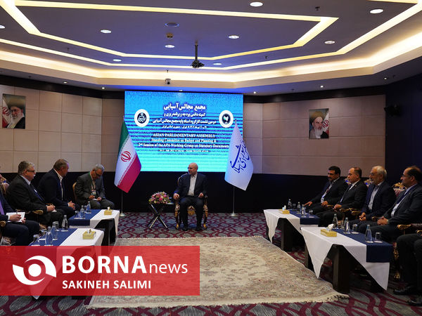 دیدار نایب رییس مجلس روسیه با رئیس مجلس