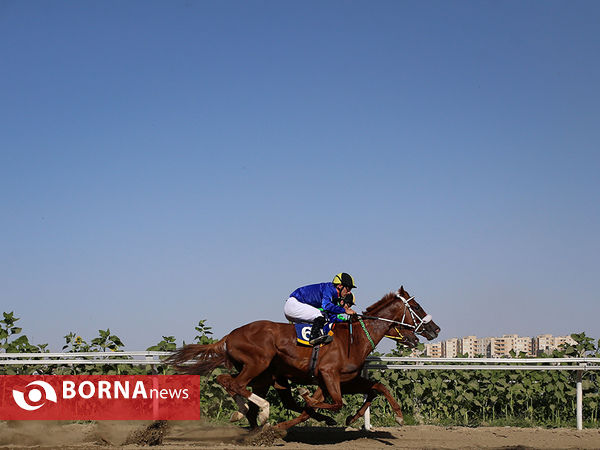 مسابقات کورس تهران - نوروزآباد