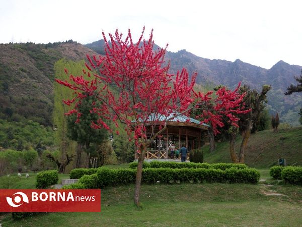 باغ لاله یادبود ایندریا گاندی