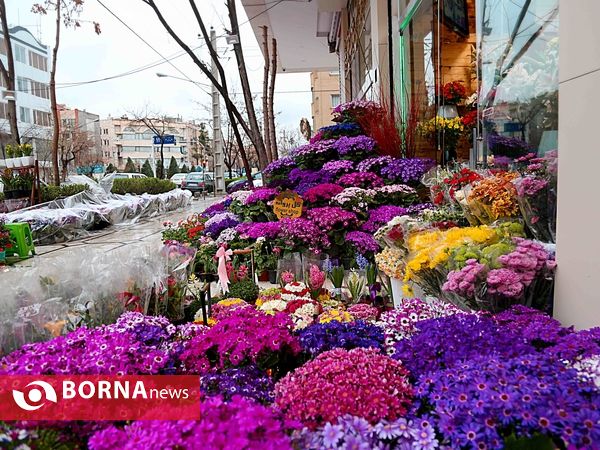 حال و هوای شهر مشهد در نخستین روزهای بهار