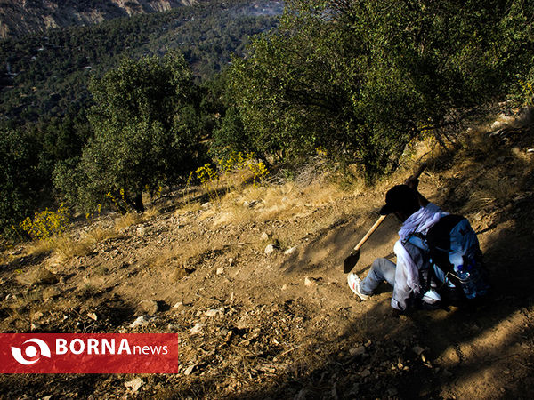 آتش سوزی در "تنگه ی شاه بیشه" آبدانان