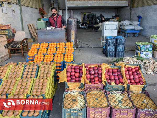 میدان میوه و تره بار در روزهای پایانی سال
