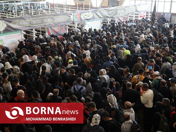 دلدادگان حسینی مرز شلمچه