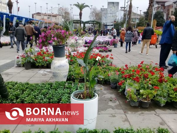 جشنواره گل و گیاه رشت 