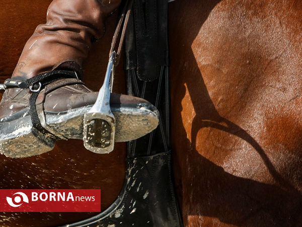 مسابقات پرش اسب باشگاه های کشور