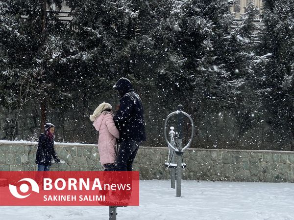 برف زمستاني تهران