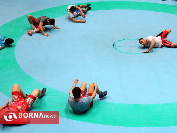 تمرین تیم ملی کشتی آزاد