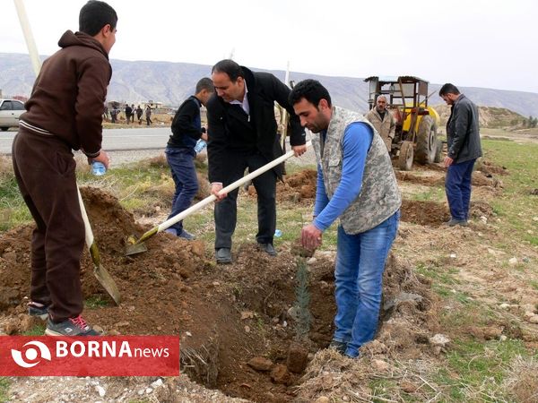 آغازفعالیتهای درختکاری در رومشکان درآستانه هفته منابع طبیعی