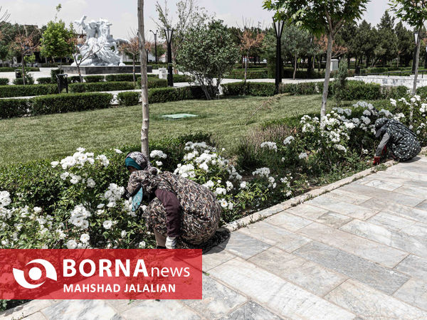 روزی برای حکیم توس
