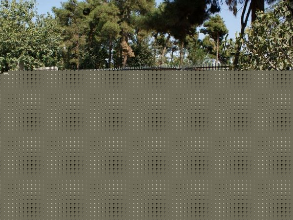 طرح دست های مهربان هلال- شهر ری
