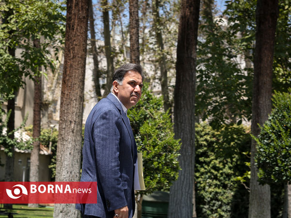 در حاشیه جلسه هیات دولت