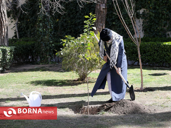 کاشت نهال توسط رهبر معظم انقلاب