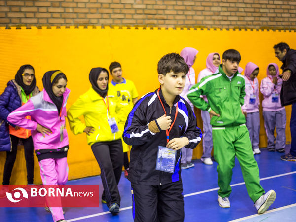 المپیک ویژه ایران