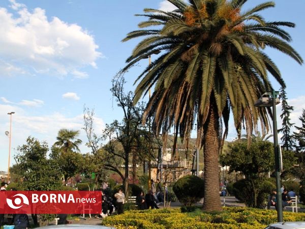 روز طبیعت لاهیجان