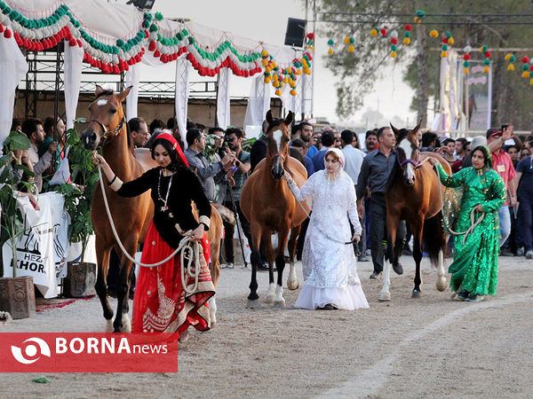 جشنواره بین المللی زیبایی اسب اصیل ایرانی در شیراز