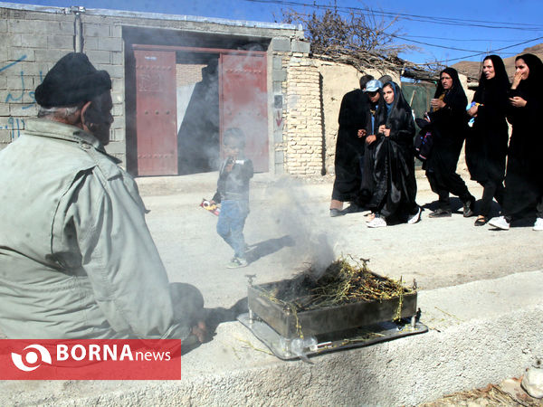 بزرگترین گردهمایی عزاداران رضوی فارس در شهرستان بوانات