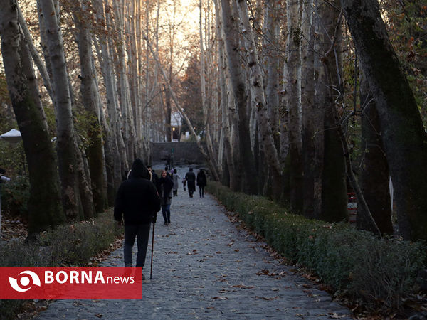 بارش اولین برف پاییزی در تهران 2