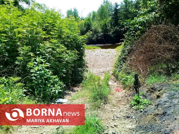 پاشاکی روستایی در شرق استان گیلان
