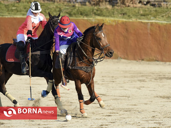 دومین دوره مسابقات چوگان جام وحدت