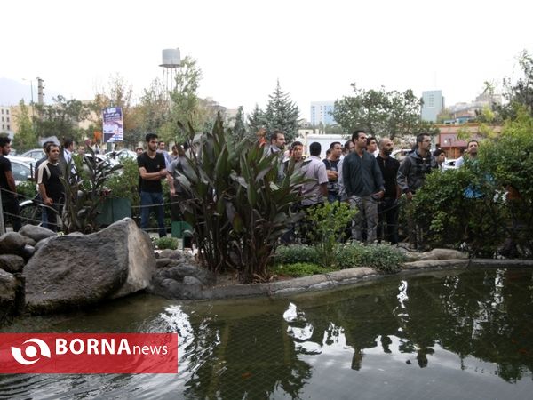 هادی نوروزی در گذشت