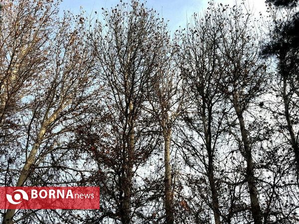 آخرین لحظات پاییزی