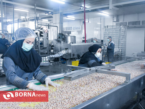 سفر معاون وزیر تعاون به استان مرکزی