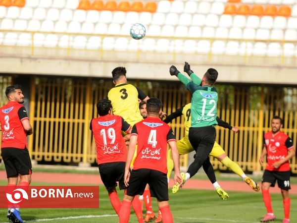 گل ریحان البرز - نود ارومیه